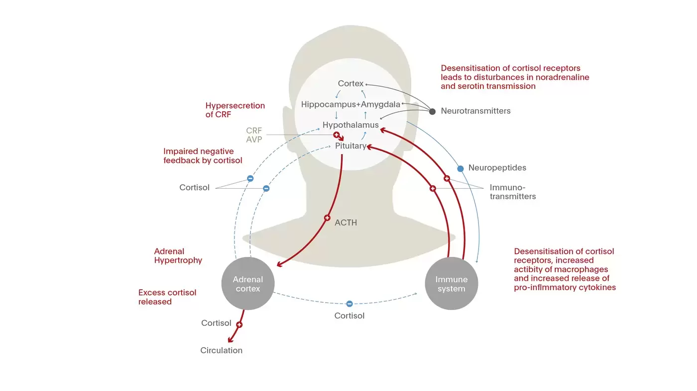 The hypothalamic-pituitary-adrenal (HPA) axis in depression